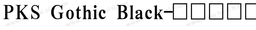PKS Gothic Black字体转换